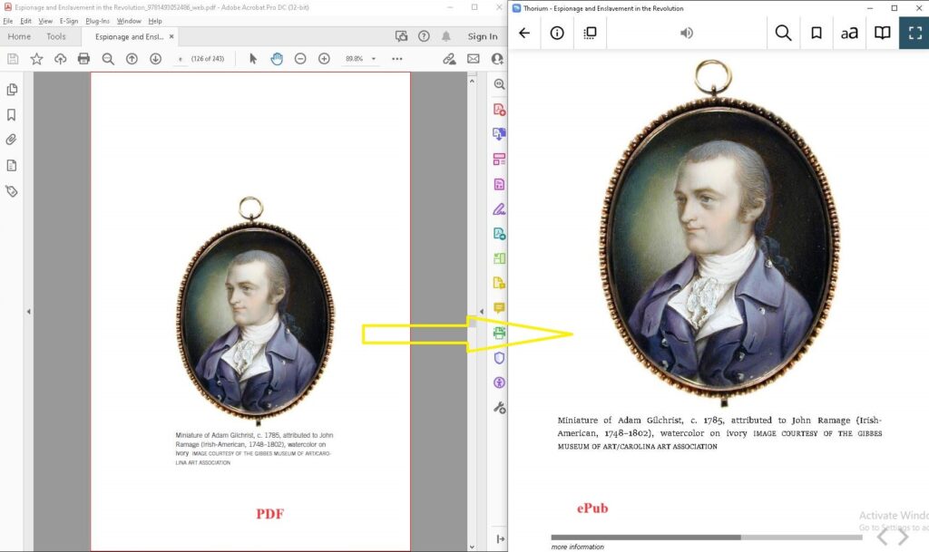 PDF to ePub - Image - Apex Solutions LTD